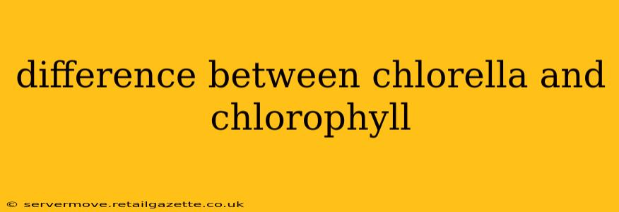 difference between chlorella and chlorophyll