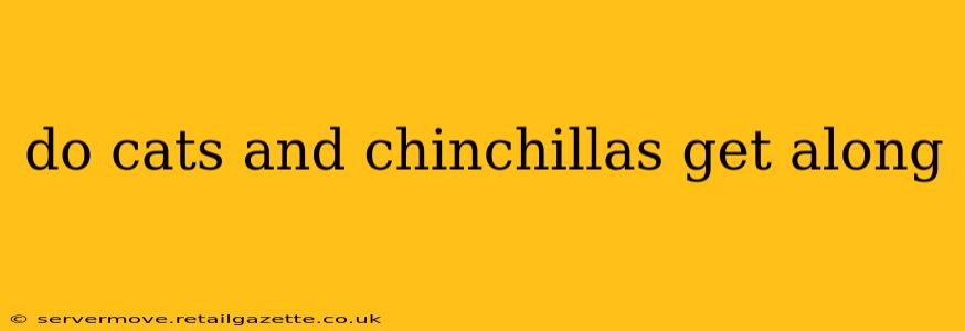 do cats and chinchillas get along