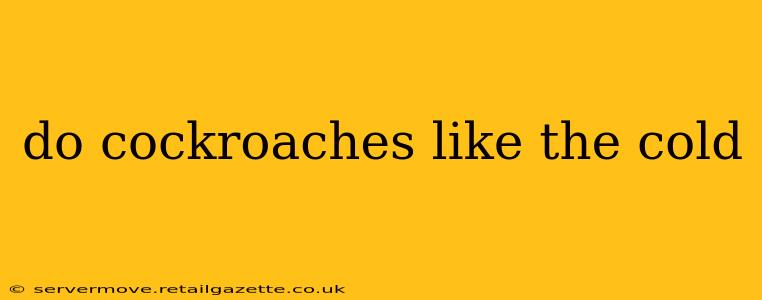 do cockroaches like the cold