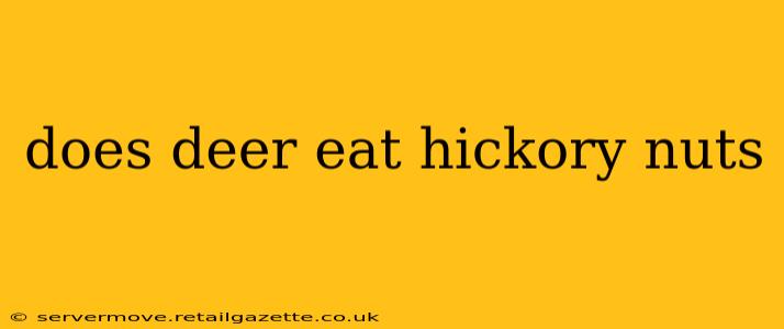 does deer eat hickory nuts