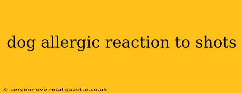 dog allergic reaction to shots
