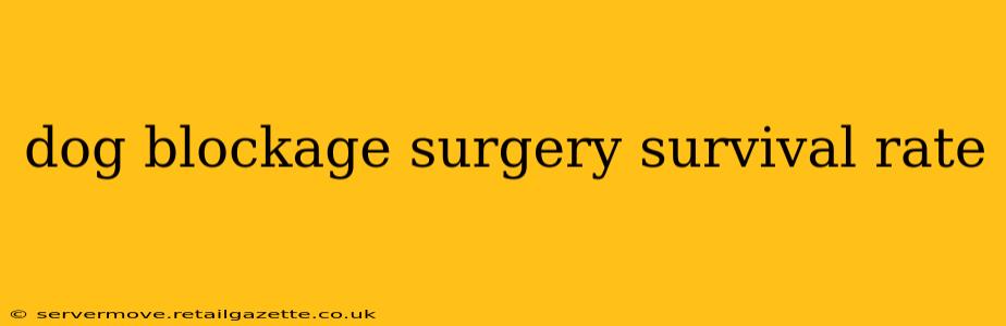 dog blockage surgery survival rate