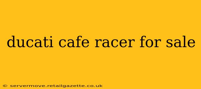 ducati cafe racer for sale