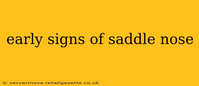 early signs of saddle nose