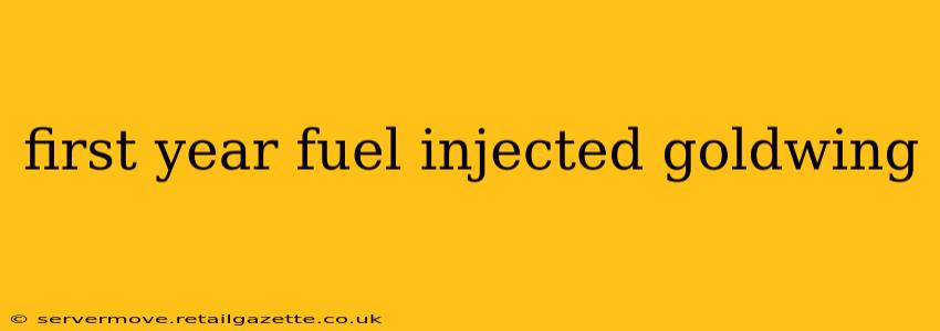 first year fuel injected goldwing