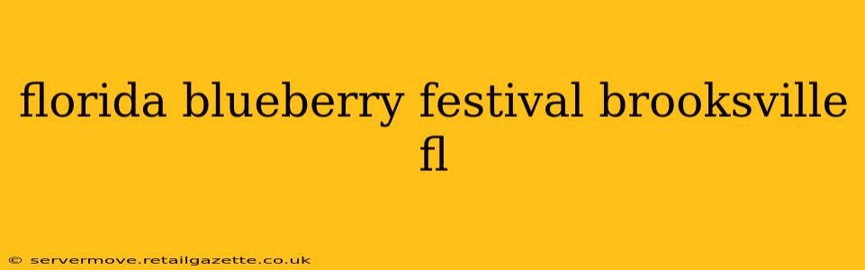 florida blueberry festival brooksville fl