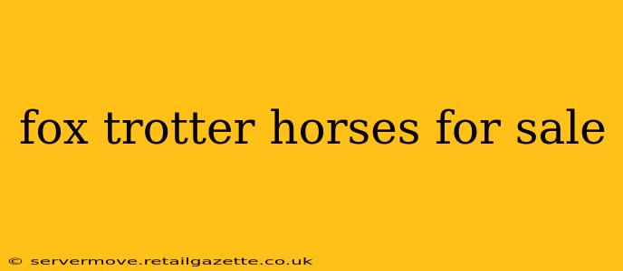 fox trotter horses for sale