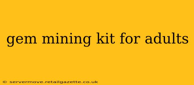 gem mining kit for adults