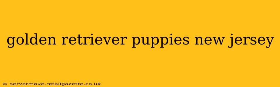 golden retriever puppies new jersey