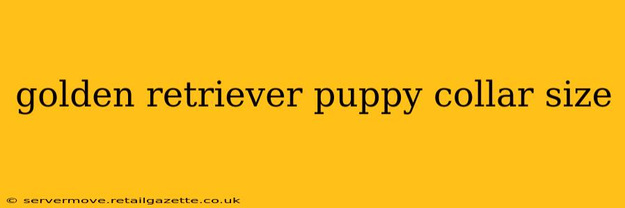 golden retriever puppy collar size