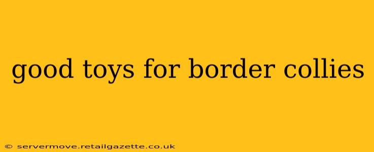 good toys for border collies