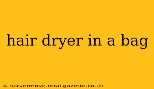 hair dryer in a bag