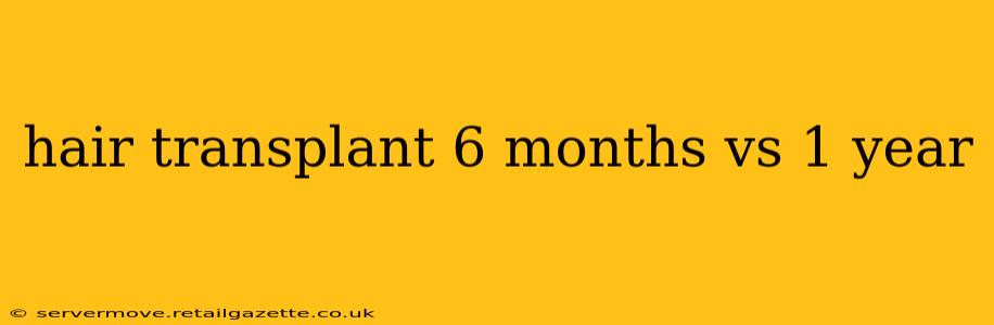 hair transplant 6 months vs 1 year