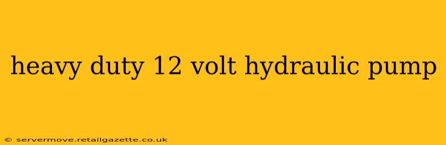 heavy duty 12 volt hydraulic pump