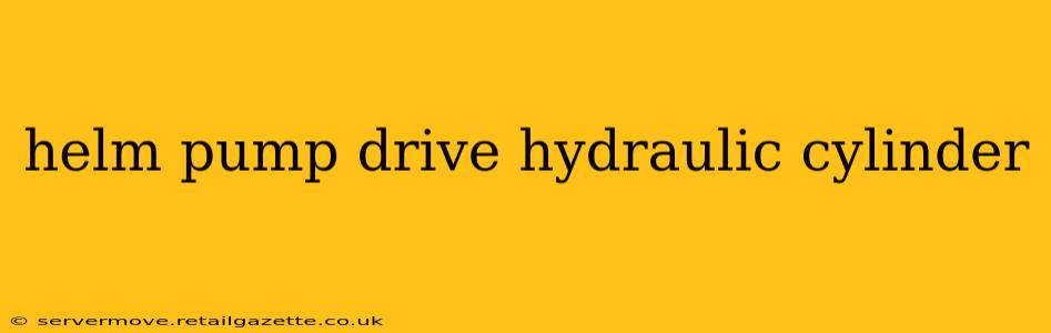 helm pump drive hydraulic cylinder