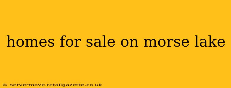 homes for sale on morse lake