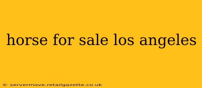 horse for sale los angeles