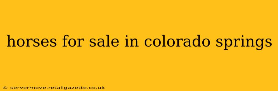 horses for sale in colorado springs
