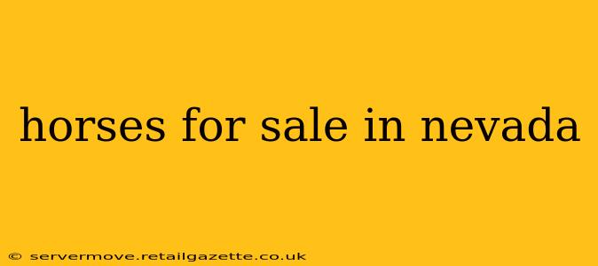 horses for sale in nevada