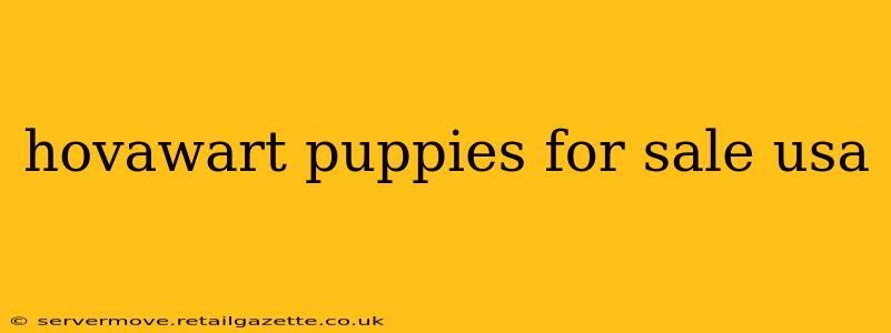 hovawart puppies for sale usa