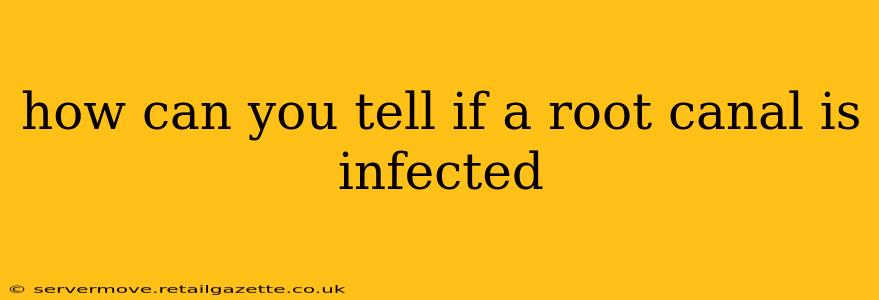 how can you tell if a root canal is infected