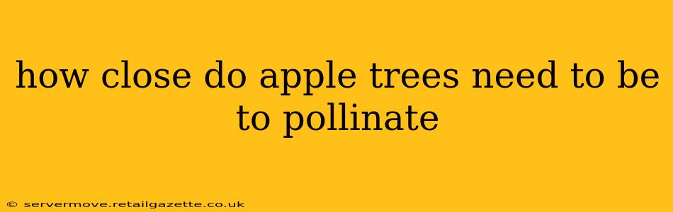 how close do apple trees need to be to pollinate