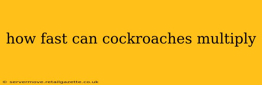how fast can cockroaches multiply