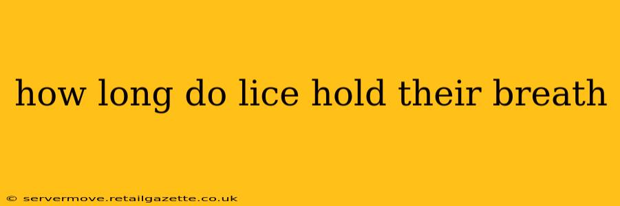 how long do lice hold their breath