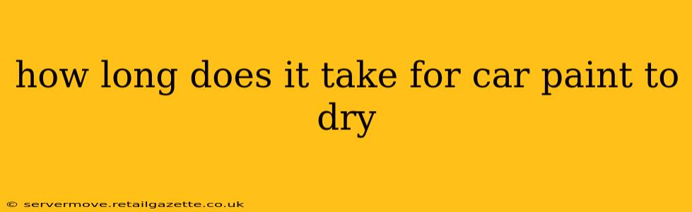 how long does it take for car paint to dry