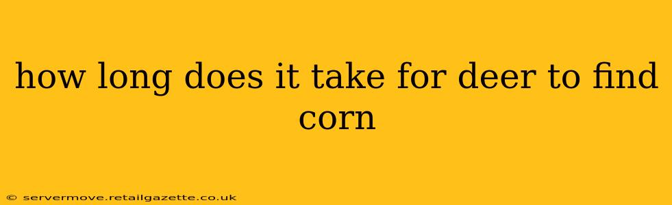 how long does it take for deer to find corn