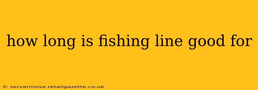 how long is fishing line good for
