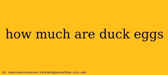 how much are duck eggs