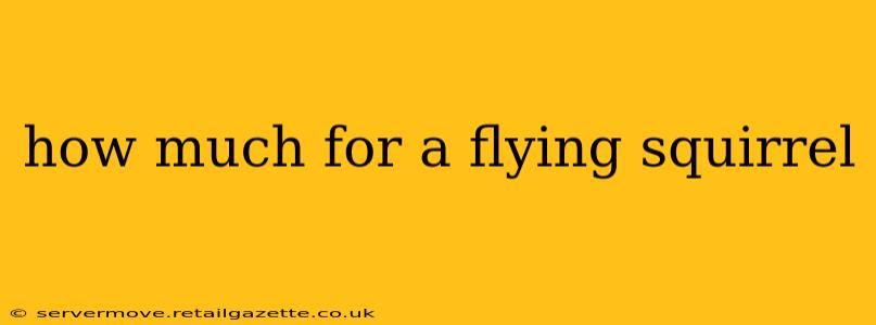 how much for a flying squirrel