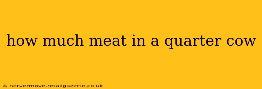 how much meat in a quarter cow