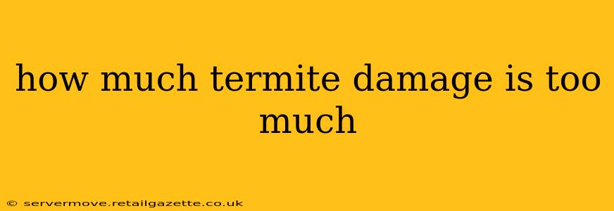 how much termite damage is too much