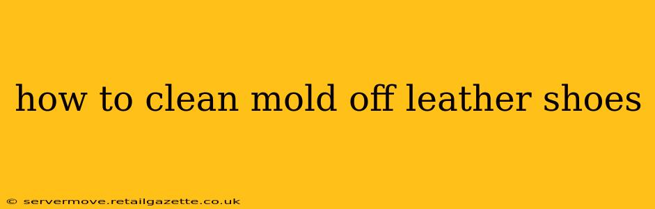 how to clean mold off leather shoes