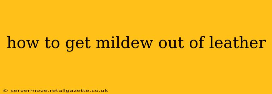 how to get mildew out of leather