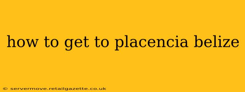 how to get to placencia belize