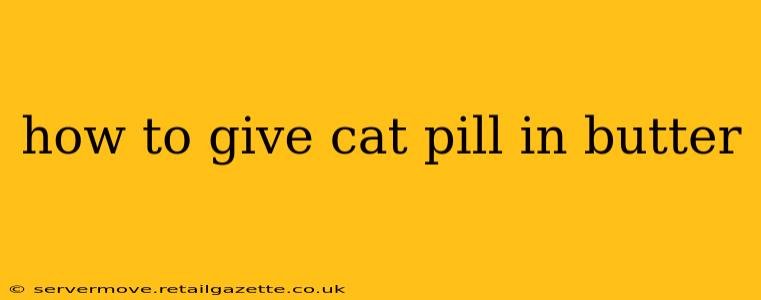 how to give cat pill in butter