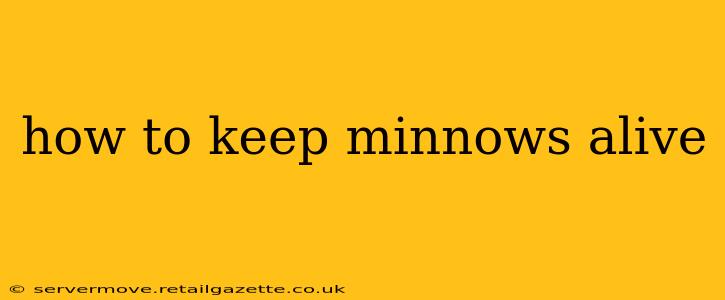 how to keep minnows alive