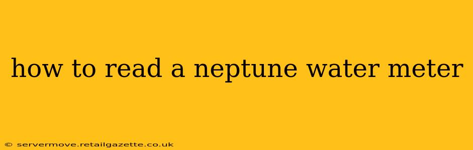 how to read a neptune water meter