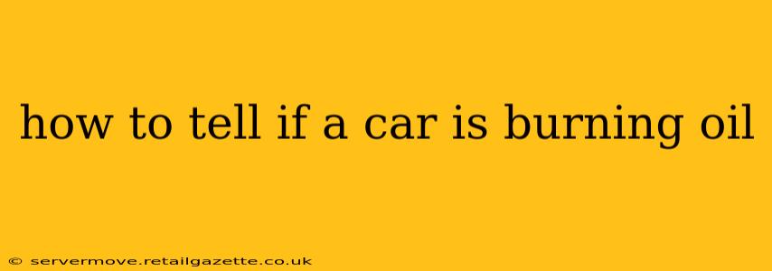 how to tell if a car is burning oil
