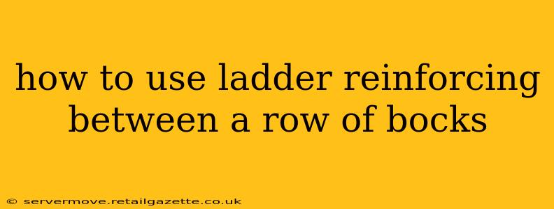 how to use ladder reinforcing between a row of bocks