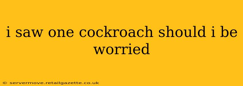 i saw one cockroach should i be worried