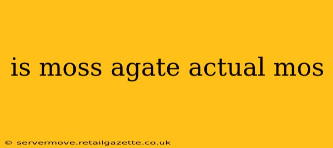 is moss agate actual mos