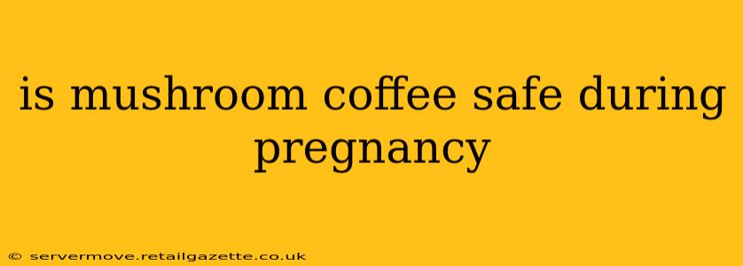 is mushroom coffee safe during pregnancy