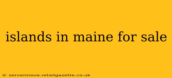 islands in maine for sale