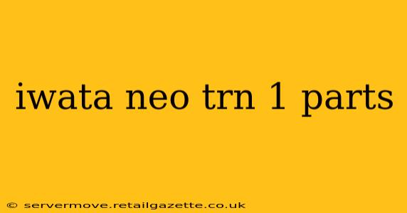 iwata neo trn 1 parts