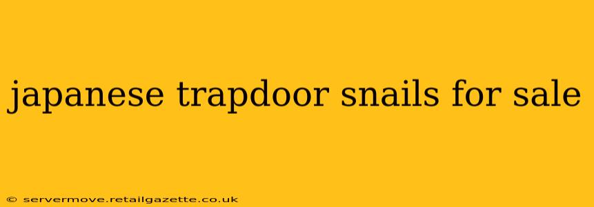 japanese trapdoor snails for sale