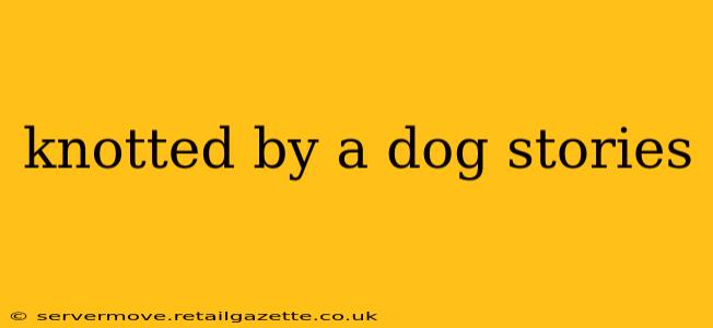 knotted by a dog stories